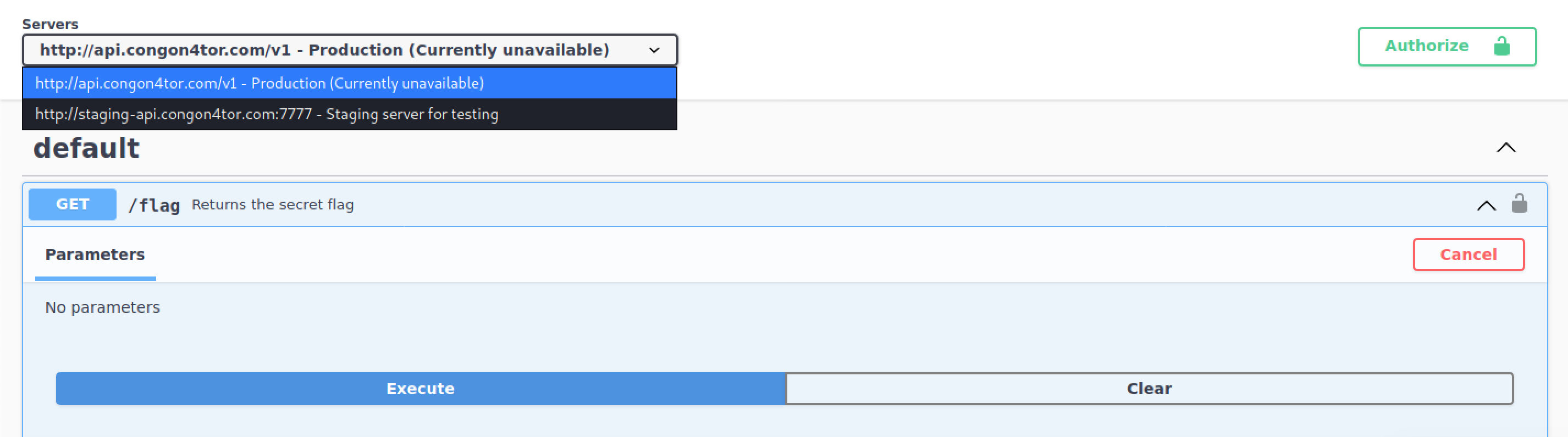 Documentation powered by Swagger UI - an API documentation tool. The docs list one method, /flag, a dropdown to select between two servers, and a button named "Authorize".